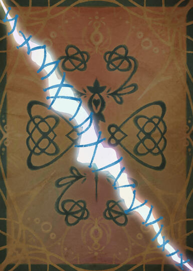 ILLUSTRATOR • KAIDA CRESTO