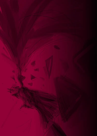 ILLUSTRATOR • STEFAN B.